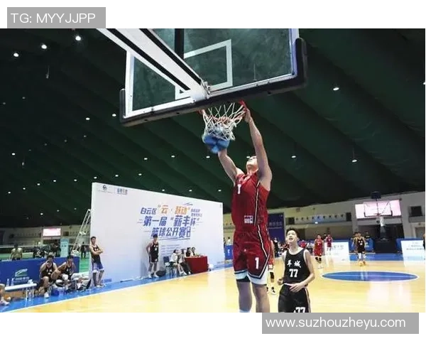 成都篮球队区域防守分析：优劣势及改进方向探讨